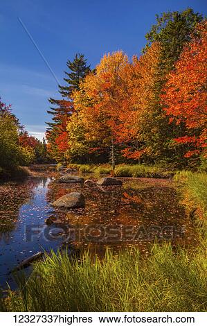 Stock Photograph - Colourful autumn coloured foliage on trees along the Westfield River, near North Brookfield; Nova Scotia, Canada. Fotosearch