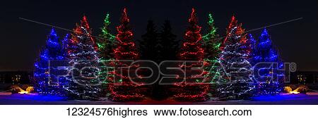 Stock Photograph - Colourful Christmas lights around several evergreen trees; Calgary, Alberta, Canada. Fotosearch