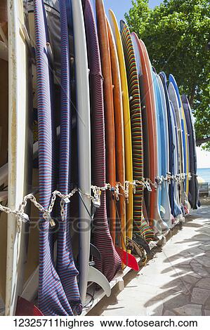 Colourful long surfboards in a rack near Waikiki Beach; Honolulu, Oahu, Hawaii, United States of America View Large Photo Image Stock Photograph - Colourful long surfboards in a rack near Waikiki Beach; Honolulu, Oahu, Hawaii, United States of America. Fotosearch
