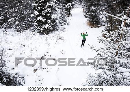 Stock Photograph - Cross country skiing on a trail through a forest; Homer, Alaska, United States of America. Fotosearch