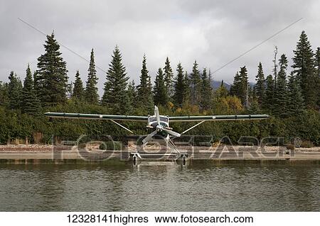 Stock Photograph - De Havilland DHC-2 Beaver moored along the shore, Southwest Alaska, USA. Fotosearch