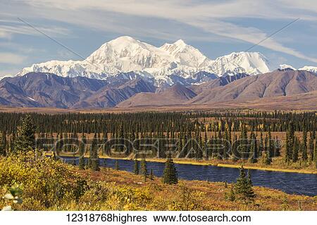 Denali, viewed from south of Cantwell, from the Parks Highway in Interior Alaska; Alaska, United States of America View Large Photo Image Stock Photograph - Denali, viewed from south of Cantwell, from the Parks Highway in Interior Alaska; Alaska, United States of America. Fotosearch