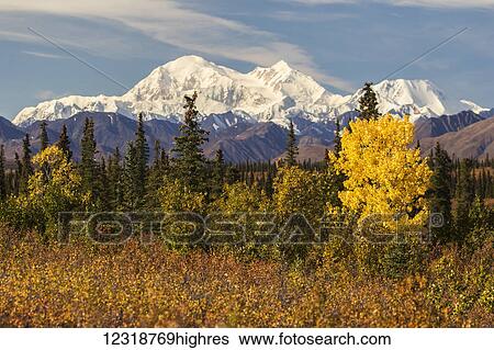 Stock Photograph - Denali, viewed from south of Cantwell, from the Parks Highway in Interior Alaska; Alaska, United States of America. Fotosearch