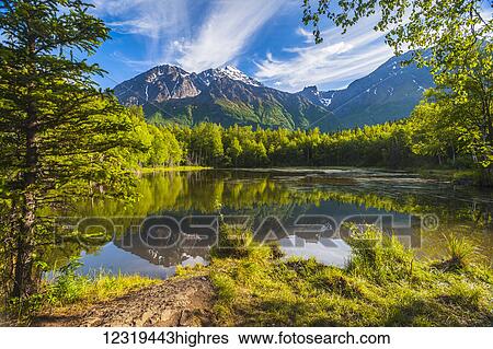 Stock Photograph - Dew Pond in the Chugach State Park in Eagle River on a sunny day, South-central Alaska; Alaska, United States of America. Fotosearch