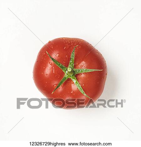 Directly above a ripe, red tomato with water droplets on a white background View Large Photo Image Stock Photograph - Directly above a ripe, red tomato with water droplets on a white background. Fotosearch