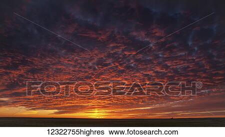 Dramatic pink clouds in sunset; Herschel, Saskatchewan, Canada View Large Photo Image Stock Photograph - Dramatic pink clouds in sunset; Herschel, Saskatchewan, Canada. Fotosearch