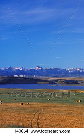 Farmer's Hay field with river and mountains in background View Large Photo Image Picture - Farmer's Hay field with river and mountains in background. Fotosearch