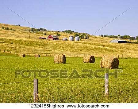 Stock Photograph - Farmland with farm structures and hay bales on rolling hills; Cochrane, Alberta, Canada. Fotosearch