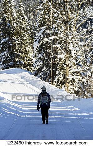 Stock Photograph - Female walking along snow covered road with snow covered trees; Invermere, British Columbia, Canada. Fotosearch