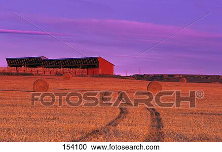 Field with bales of hay and building in background View Large Photo Image Stock Image - Field with bales of hay and building in background. Fotosearch
