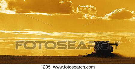 Stock Photography - Field with combine at sunset. Fotosearch