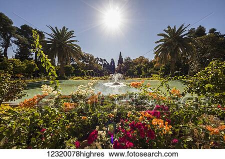 Stock Photograph - Flowers. Fotosearch