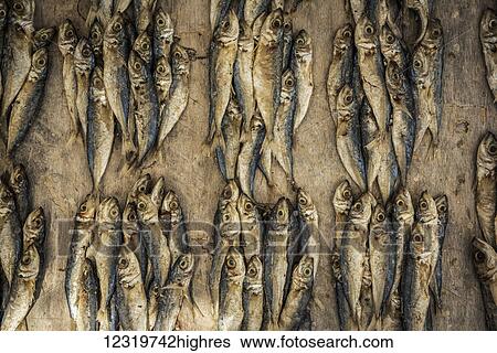 Stock Photograph - Food. Fotosearch