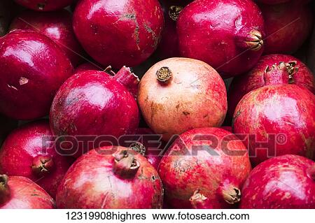 Food View Large Photo Image Stock Photograph - Food. Fotosearch
