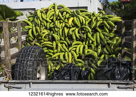 Stock Photograph - Food. Fotosearch