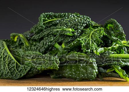 Fresh kale sitting on a wooden counter; Calgary, Alberta, Canada View Large Photo Image Stock Photograph - Fresh kale sitting on a wooden counter; Calgary, Alberta, Canada. Fotosearch