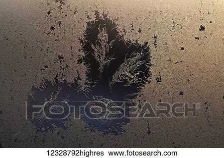 Frosty leaf patterns; Alaska, United States of America View Large Photo Image Stock Photograph - Frosty leaf patterns; Alaska, United States of America. Fotosearch