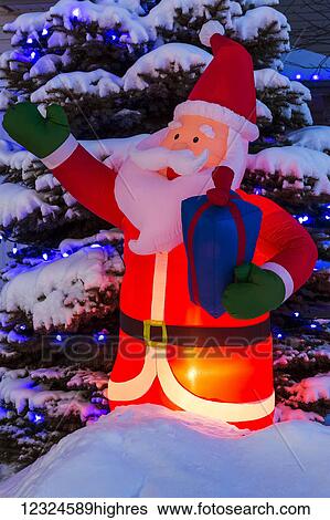 Glowing inflated Santa Claus Christmas decoration with Christmas lights on a snow covered evergreen tree; Calgary, Alberta, Canada View Large Photo Image Stock Photograph - Glowing inflated Santa Claus Christmas decoration with Christmas lights on a snow covered evergreen tree; Calgary, Alberta, Canada. Fotosearch