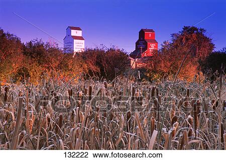 Grain elevators with field in foreground View Large Photo Image Stock Image - Grain elevators with field in foreground. Fotosearch