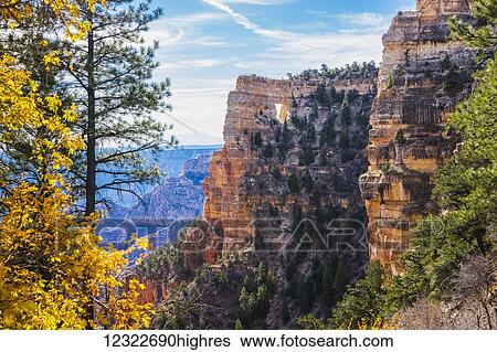 Grand Canyon National Park, North rim; Arizona, United States of America View Large Photo Image Stock Photograph - Grand Canyon National Park, North rim; Arizona, United States of America. Fotosearch
