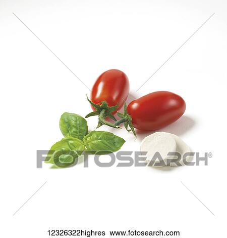 Grape tomatoes, basil and bocconcini on a white background View Large Photo Image Stock Photograph - Grape tomatoes, basil and bocconcini on a white background. Fotosearch