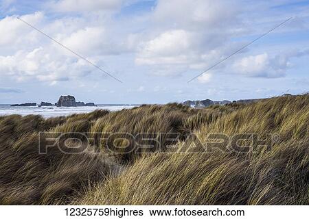 Stock Photograph - Grass and clouds frame a scene along the coast; Bandon, Oregon, United States of America. Fotosearch