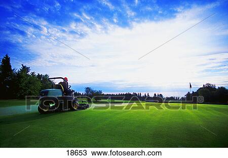 Stock Image - Greens keeper mowing grass. Fotosearch