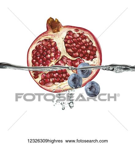 Stock Photograph - Half a pomegranate and blueberries floating in water. Fotosearch