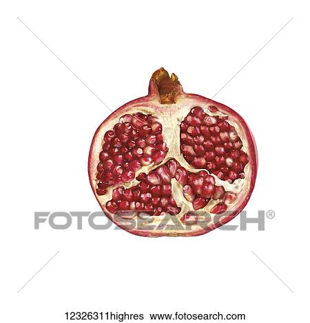 Half of a pomegranate and seeds on a white background View Large Photo Image Stock Photograph - Half of a pomegranate and seeds on a white background. Fotosearch