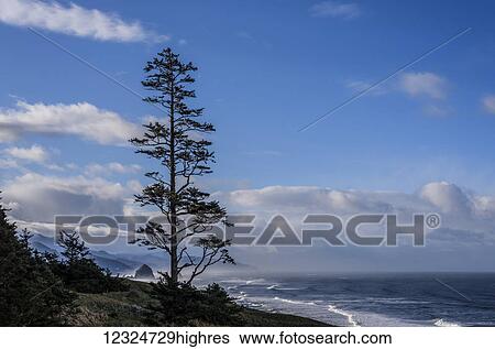 Stock Photograph - Haystack Rock can be seen to the South of Ecola State Park; Cannon Beach, Oregon, United States of America. Fotosearch