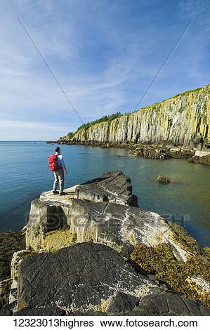 Hiker along basalt rock cliffs, Bay of Fundy; Brier Island, Nova Scotia, Canada View Large Photo Image Stock Photograph - Hiker along basalt rock cliffs, Bay of Fundy; Brier Island, Nova Scotia, Canada. Fotosearch