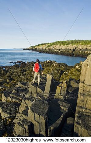 Hiker along basalt rock cliffs, Bay of Fundy; Brier Island, Nova Scotia, Canada View Large Photo Image Stock Photograph - Hiker along basalt rock cliffs, Bay of Fundy; Brier Island, Nova Scotia, Canada. Fotosearch