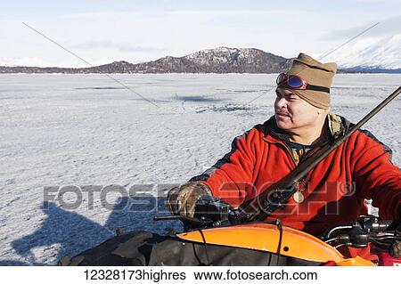 Hunter on an ATV during a freshwater harbor seal hunt, Lake Iliamna, Pedro Bay, Southcentral Alaska, USA View Large Photo Image Stock Photograph - Hunter on an ATV during a freshwater harbor seal hunt, Lake Iliamna, Pedro Bay, Southcentral Alaska, USA. Fotosearch