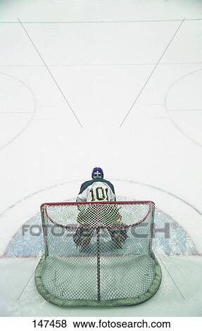Ice hockey goalie in crease View Large Photo Image Stock Photo - Ice hockey goalie in crease. Fotosearch