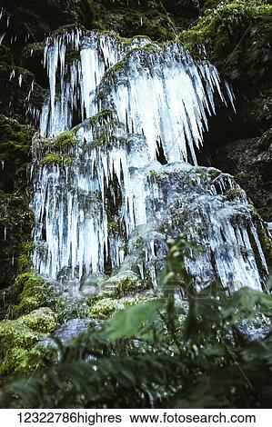 Icicles on a frozen waterfall among green foliage View Large Photo Image Stock Photograph - Icicles on a frozen waterfall among green foliage. Fotosearch
