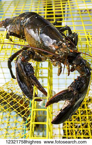 Stock Photograph - Industry. Fotosearch