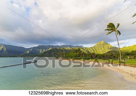 Kualoa Beach Park in East Oahu at sunrise; Kualoa, Oahu, Hawaii, United States of America View Large Photo Image Stock Photograph - Kualoa Beach Park in East Oahu at sunrise; Kualoa, Oahu, Hawaii, United States of America. Fotosearch