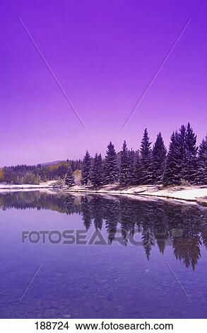 Picture - Lake shore in winter. Fotosearch
