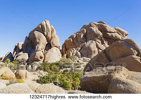 Landscape in Joshua Tree National Park; California, United States of America View Large Photo Image Stock Photograph - Landscape in Joshua Tree National Park; California, United States of America. Fotosearch