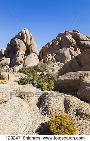 Landscape in Joshua Tree National Park; California, United States of America View Large Photo Image Stock Photograph - Landscape in Joshua Tree National Park; California, United States of America. Fotosearch