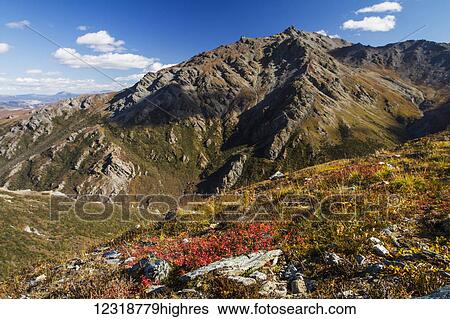 Landscape in the rocky high country of Denali National Park and Preserve, interior Alaska; Alaska, United States of America View Large Photo Image Stock Photograph - Landscape in the rocky high country of Denali National Park and Preserve, interior Alaska; Alaska, United States of America. Fotosearch