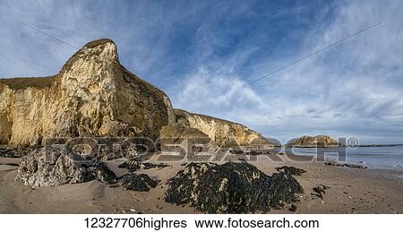 Landscape of cliffs along the coastline and seaweed and rocks on the beach; South Shields, Tyne and Wear, England View Large Photo Image Stock Photograph - Landscape of cliffs along the coastline and seaweed and rocks on the beach; South Shields, Tyne and Wear, England. Fotosearch