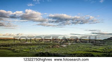 Stock Photograph - Landscape of green foliage and brown hills under a blue sky with cloud; Herschel, Saskatchewan, Canada. Fotosearch
