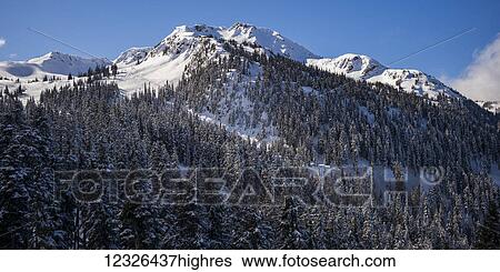 Stock Photograph - Landscape of the Canadian Rocky Mountains covered in a forest and snow; Whistler, British Columbia, Canada. Fotosearch