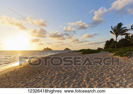 Stock Photograph - Lanikai beach overlooking the Mokulua Islands, known as the twin islands, at sunrise; Kailua, Oahu, Hawaii, United States of America. Fotosearch