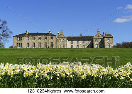 Large house with lush grass and daffodils in bloom in the foreground; 0rthumberland, England View Large Photo Image Stock Photograph - Large house with lush grass and daffodils in bloom in the foreground; 0rthumberland, England. Fotosearch
