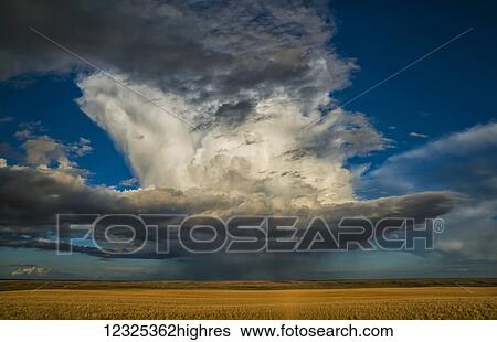 Stock Photograph - Large thunderstorm storm cell over the prairies; Saskatchewan, Canada. Fotosearch