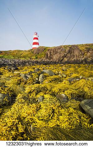 Stock Photograph - Low tide at Brier Island Lighthouse, Bay of Fundy; Brier Island, Nova Scotia, Canada. Fotosearch