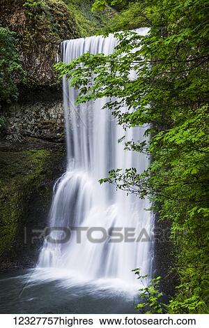 Lower South Falls is reached by the Canyon Trail at Silver Falls State Park; Silverton, Oregon, United States of America View Large Photo Image Stock Photograph - Lower South Falls is reached by the Canyon Trail at Silver Falls State Park; Silverton, Oregon, United States of America. Fotosearch