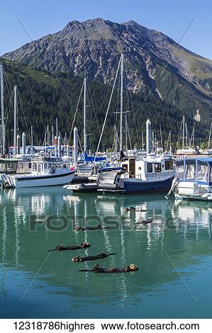 Stock Photograph - Marine Life. Fotosearch